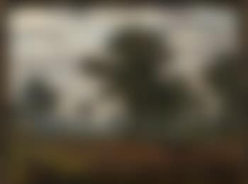 Ackerfeld mit Ochsengespann (preview)