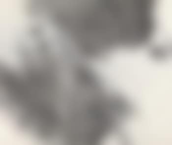 Lotus (preview)