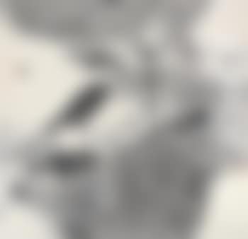 Ink Lotus (preview)