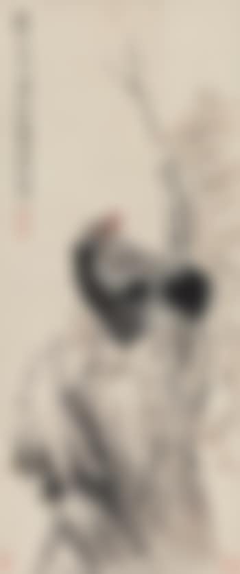 Rooster On Rock (preview)