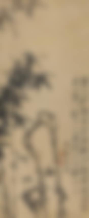 Bamboo And Rock (preview)