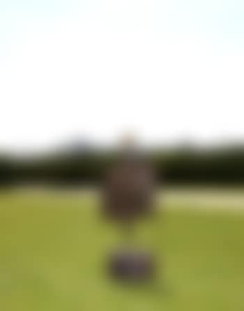Helianthe (Rosy) (preview)