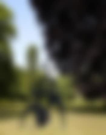 Marathonienne (preview)