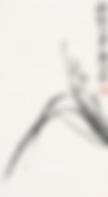 Orchid (preview)