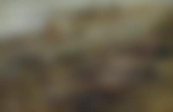 Studie einer felsigen Küste mit Steinen (preview)