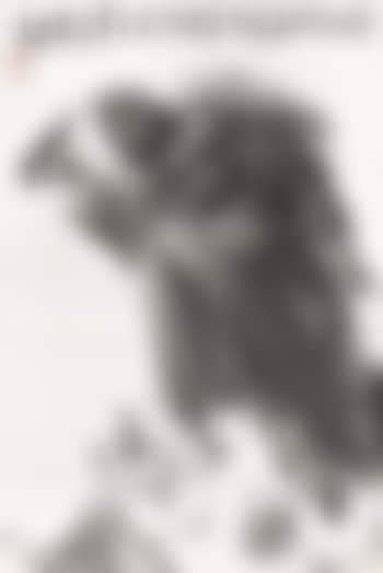 An eagle (preview)