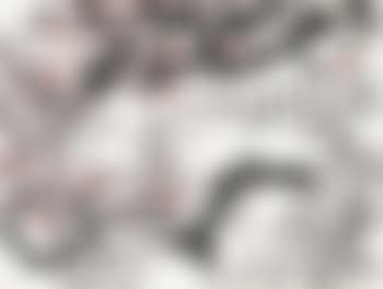Plum blossoms (preview)
