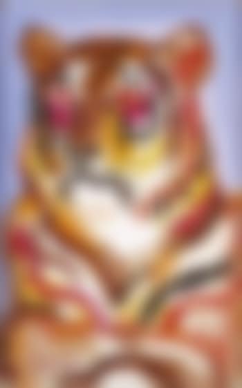 Tigre (preview)