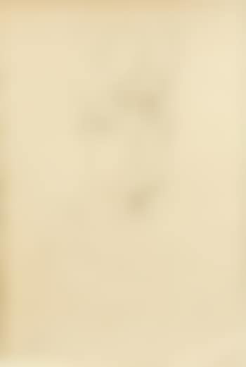 Woman head (preview)