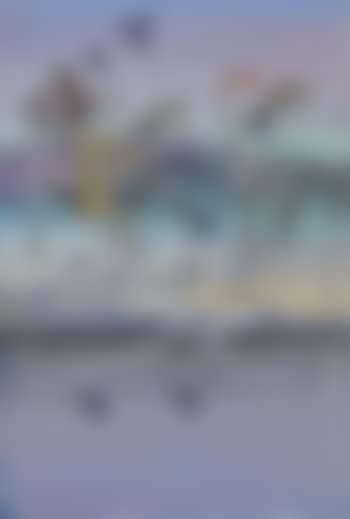 Shoalhaven River Landscape (preview)