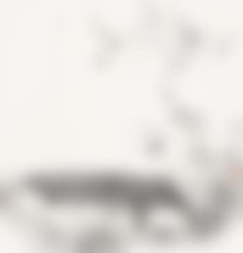Landscape (preview)