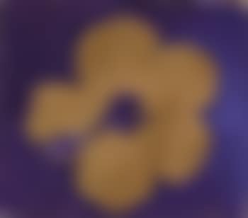 Flower (preview)