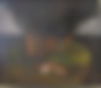 Siesta (preview)