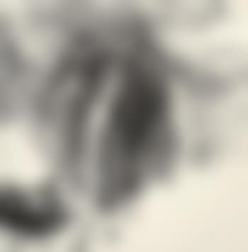 Landscape (preview)
