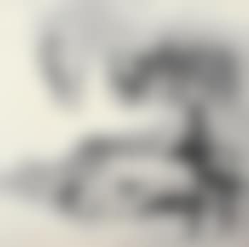 Landscape (preview)