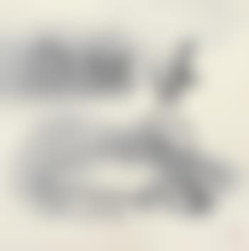 Landscape (preview)
