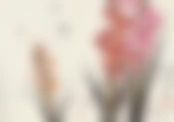 Bee And Flowers (preview)