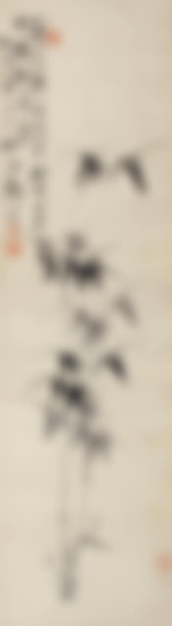 Bamboo (preview)