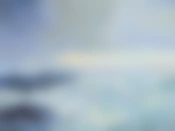 Seascape with Gulls (preview)