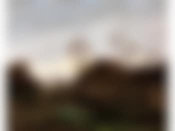 Abendliche Landschaft Mit Hütte Unter Kahlen Bäumen Am Teichufer (preview)