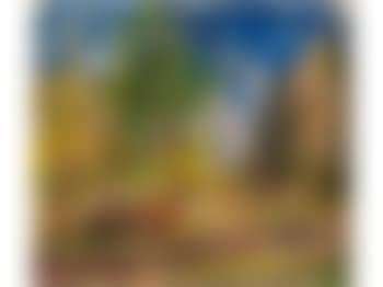 Landschaft Mit Bäumen (preview)