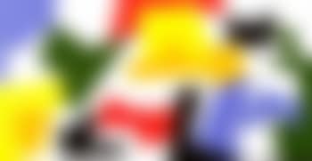 Sin título (preview)