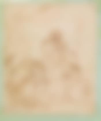 St John the Baptist in the Wilderness. Study of urbaned man (preview)