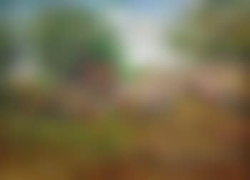 At the pilgrimage (preview)