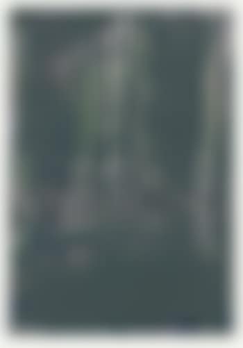 Wald (preview)