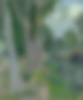 Parklandschaft. Abstrakte Komposition (preview)