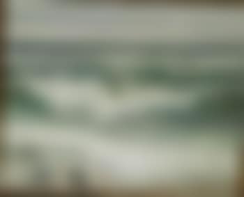 Breaking the waves with two seagulls (preview)