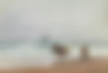 Fishermen on the beach (preview)