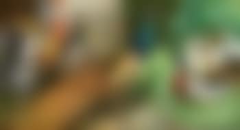 Pfau im Hühnerhof mit Enten, Hahn und Henne (preview)