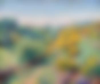 Vue de Crozant en automne (preview)