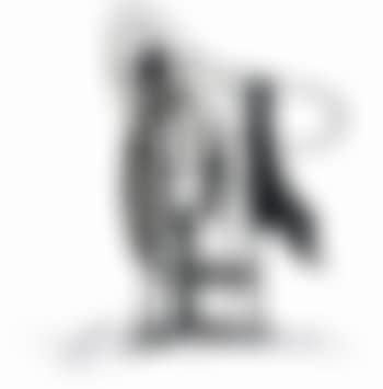 Distorsions (preview)