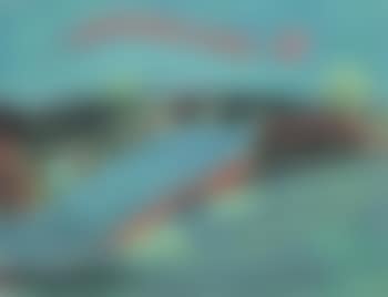 La Marne (preview)