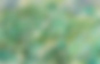 Dune landscape (preview)