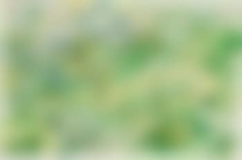 Mountain landscape (preview)
