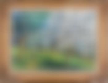 Pommiers en fleurs (preview)