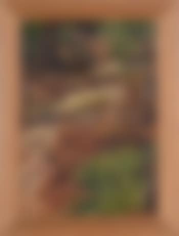 Romance by cascading falls (preview)