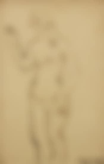 Standing female nude (preview)
