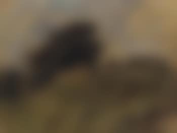 A hamlet in the countryside (preview)