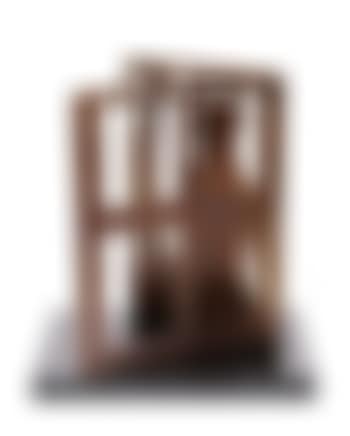 Seated cat at a window (preview)