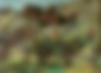 Paysage de Provence (preview)