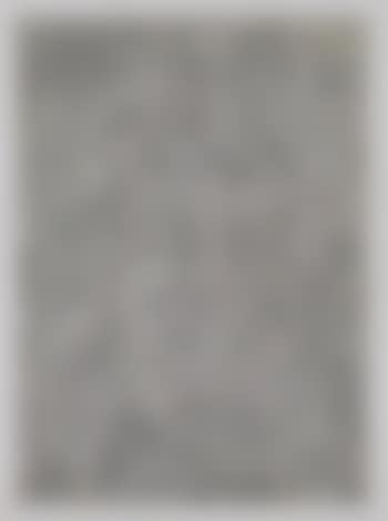 Cabeza en fondo gris (preview)