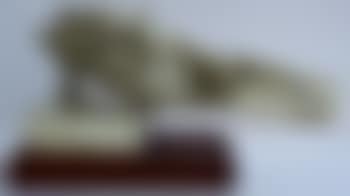 Insecte ailé (preview)