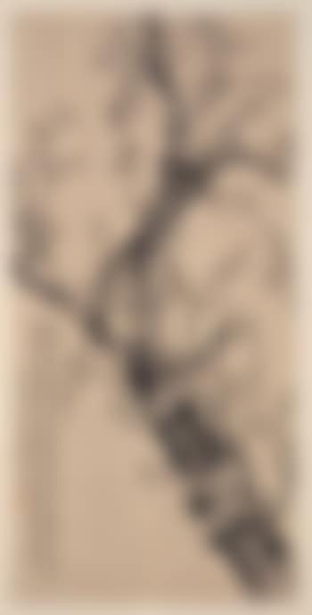Prunus (preview)