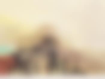 339 (preview)