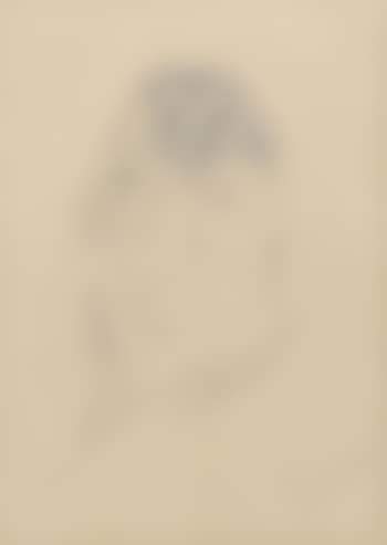 Study of a sleeping owl (preview)