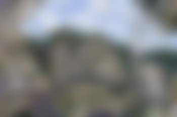Summer landscape numinbah (preview)